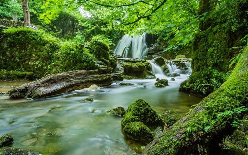 高端智慧工厂独特